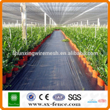 Greenhouse Roof Shade Net